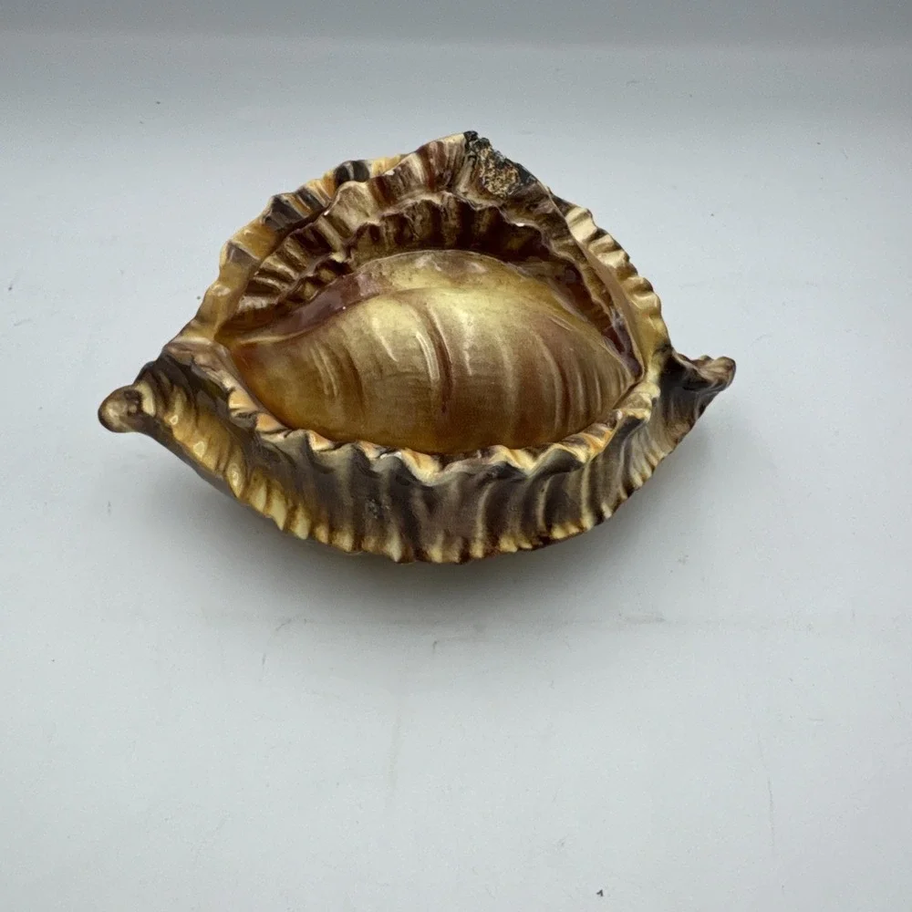 Vintage Atlantic Mold Ceramic Large Conch Sea Shell Planter Vase Brown Glossy